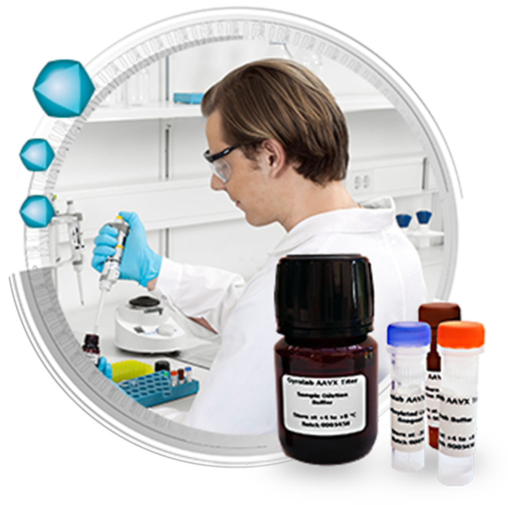 Gyrolab AAVX Titer Kit Automated Immunoassays